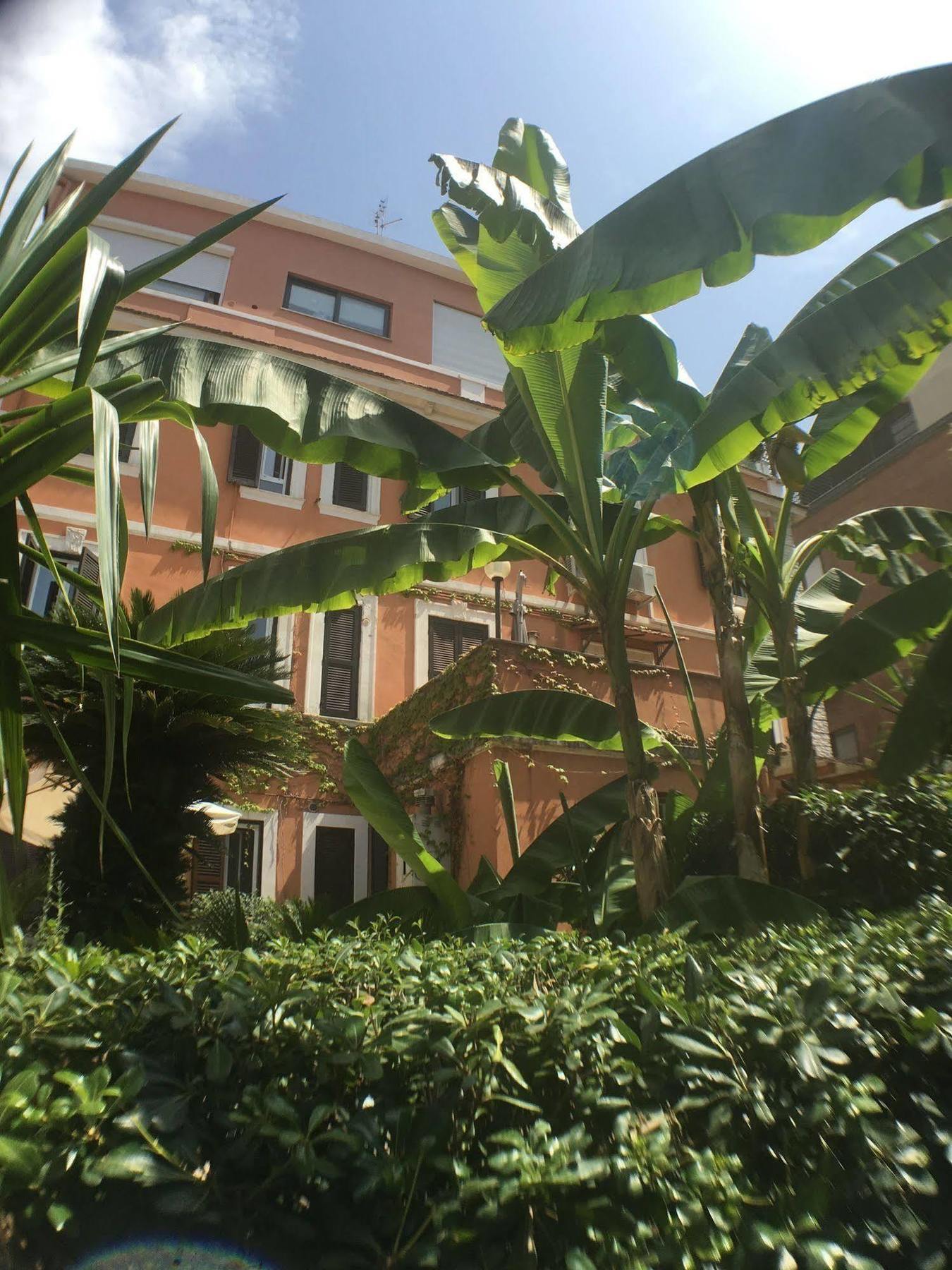 Maison d'hôtes Vatican Garden House Rome